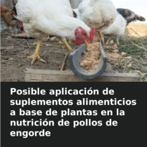 Posible aplicación de suplementos alimenticios a base de plantas en la nutrición de pollos de engorde